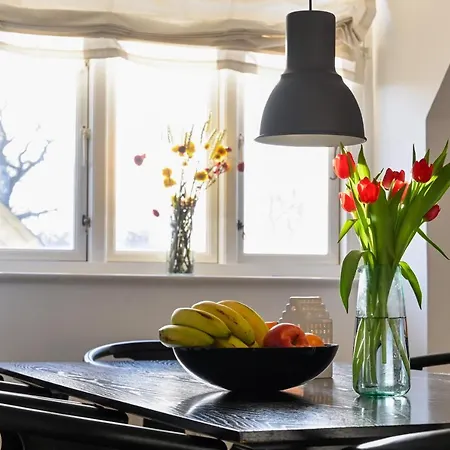 Super Cozy 3 Bedroom Duplex In Frederiksberg Close To Zoo Apartment