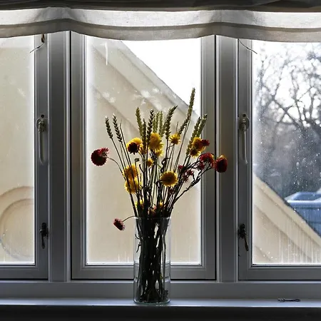 Apartment Super Cozy 3 Bedroom Duplex In Frederiksberg Close To Zoo