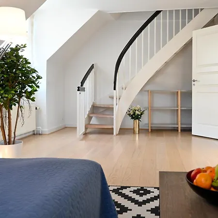 Super Cozy 3 Bedroom Duplex In Frederiksberg Close To Zoo Apartment