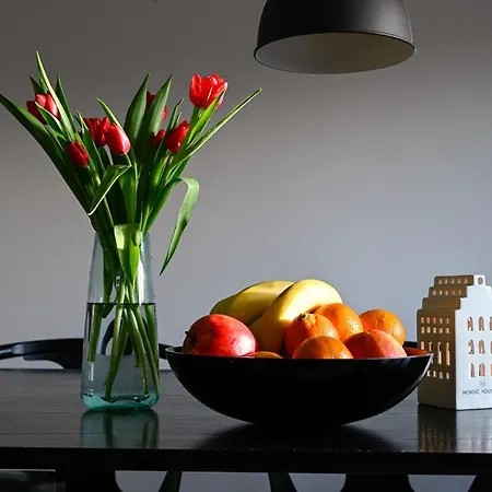 Super Cozy 3 Bedroom Duplex In Frederiksberg Close To Zoo *